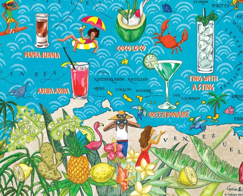 Cocktails Across America: 1000 Piece Puzzle – Mappa USA Con Cocktail Tipici, Illustrazione Di Anne Bentley, Puzzle Da Collezione